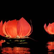 Chinese Paper Lanterns